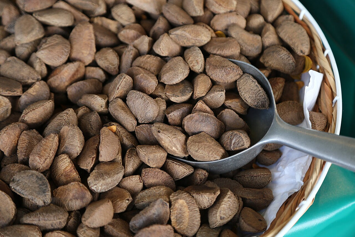 Unshelled Brazil nuts in a basket with a metal scoop