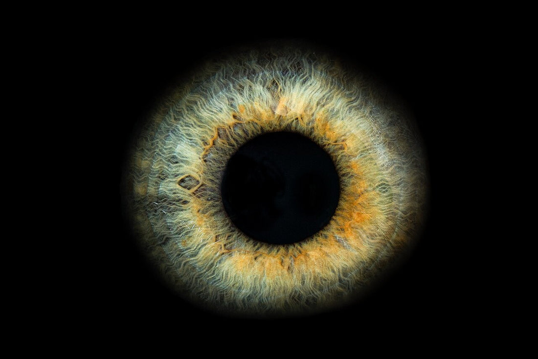 Close-up macro of a human iris and pupil on a black background