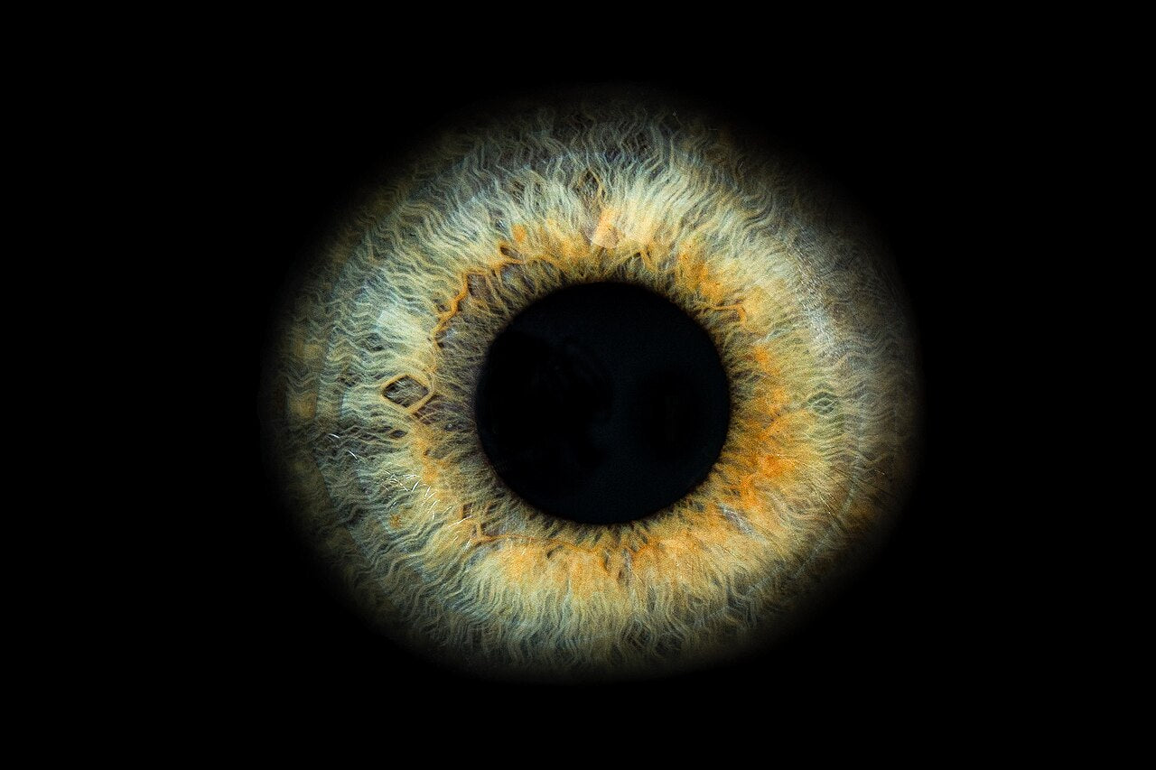 Close-up macro of a human iris and pupil on a black background