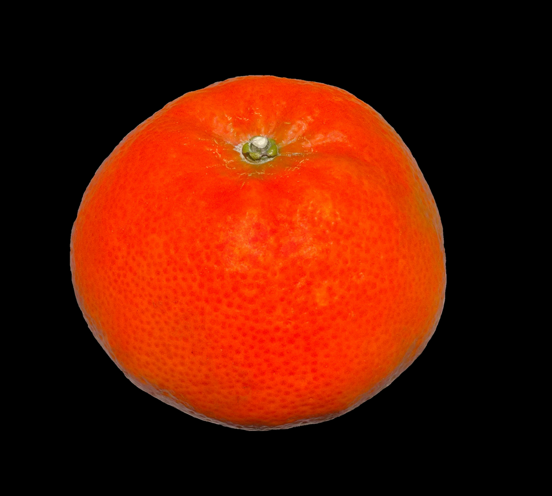 A single mandarin orange on a black background