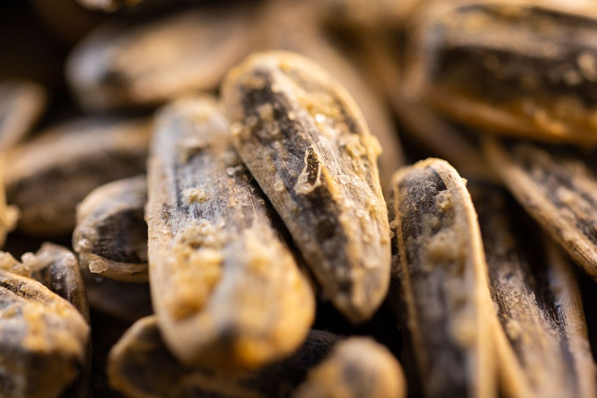 Close-up of sunflower seeds, one of the richest natural food sources of vitamin E