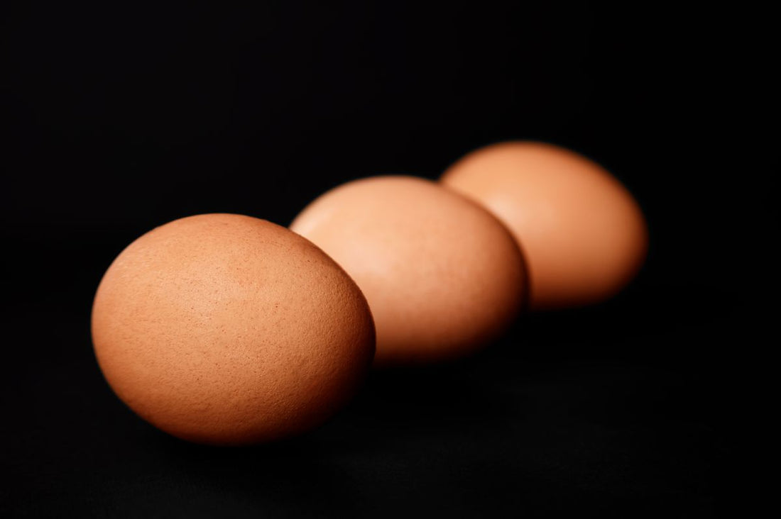 Three brown eggs in a row on a black background