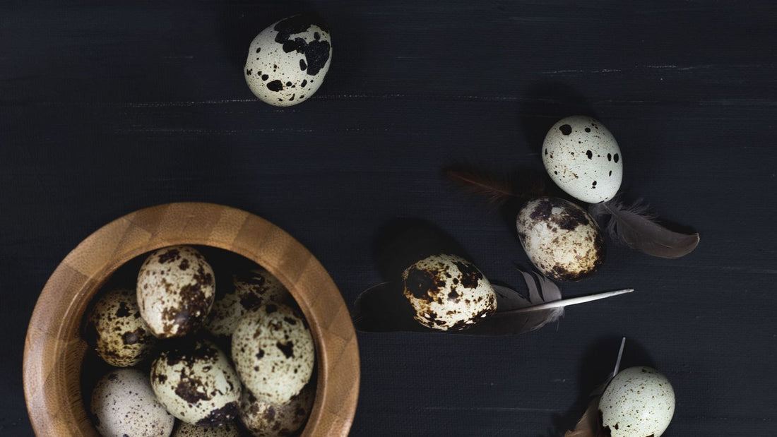 Quail eggs in a wooden bowl on a dark surface, a food source of vitamin B2 riboflavin
