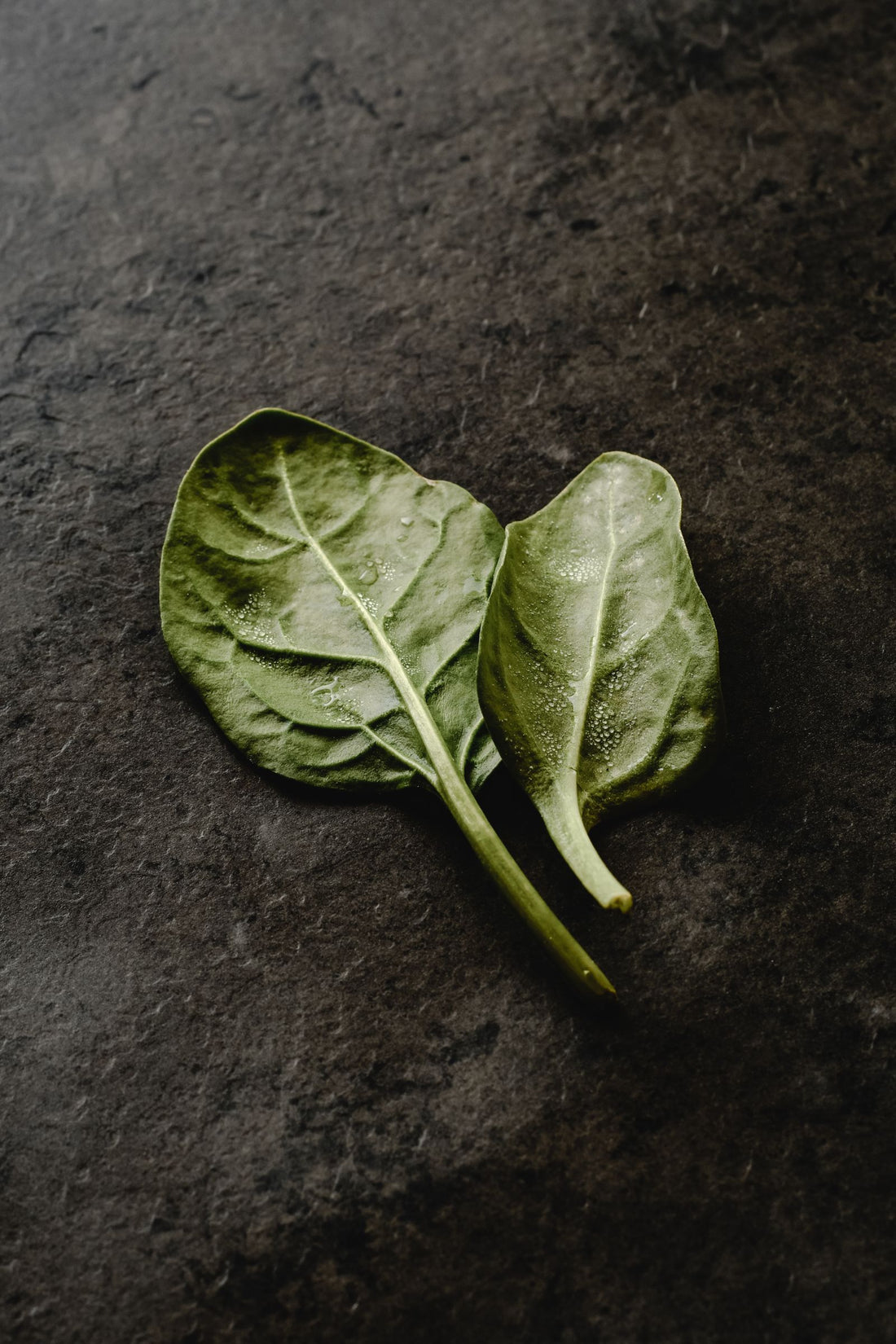 Two fresh spinach leaves with water droplets on a dark slate surface