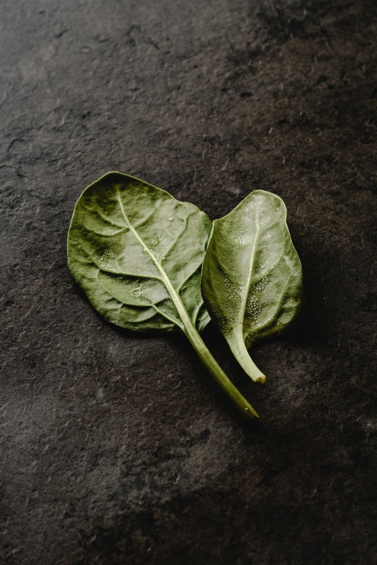 Two fresh spinach leaves with water droplets on a dark slate surface