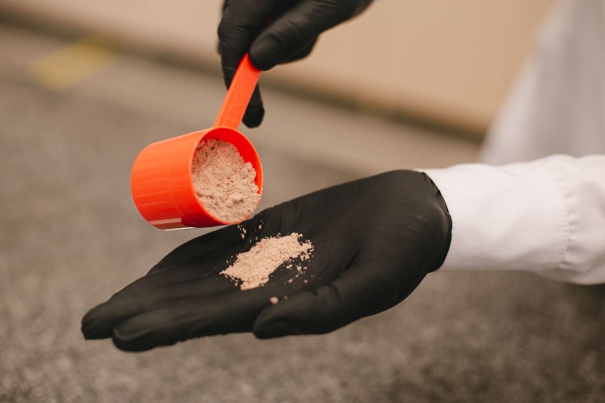 Gloved hand tipping a scoop of amino acid powder into an open palm